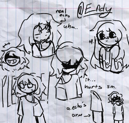this is an au, in this au echo is a amethyst and she cant speak! she can communite with echos (lol)